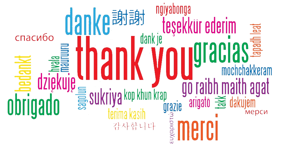 Thank you — Webmaster Services Hawaii
